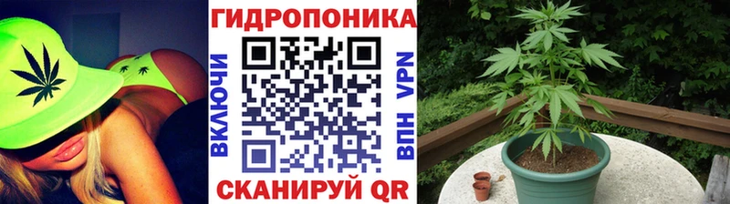 Купить где  Тетюши  Бошки марихуана марихуана 